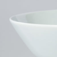 WHITE PORCELAIN NOODLE BOWL