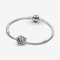 Sparkling Entwined Hearts Charm