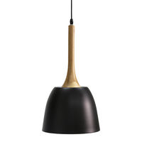 Wooden Dome Pendant - Black
