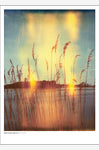 Plakat Presence 50x70 cm